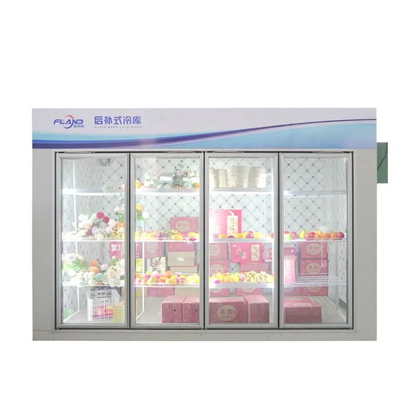 Cửa kính mát phòng cửa kính Tủ đông phòng hiển thị mát hiển thị tủ đông lạnh phòng lưu trữ lạnh