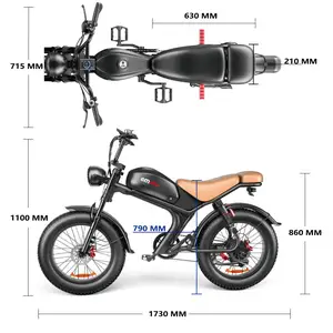 Nouveau US EU Warehouse 750W Puissant Vélo de Montagne Électrique Hybride Gros Pneu Électrique Hybride PAS Vélo