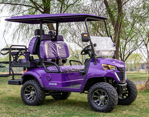 Luxury Handcrafted Street 4 Seater Golf Cart Fully Bespoke Interior Exterior High Capacity Design Accommodates up to 4 Passenger - Product Image 1