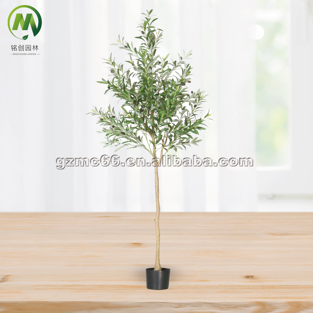 olive tree A - 190cm