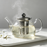 Théière en verre pour la cuisine à domicile avec infuseur en acier inoxydable, capacité multiple, accessoire minimaliste pour la préparation du thé