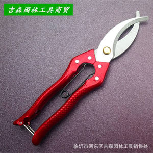 Baigeli Girdling Shears Stainless Steel <b>Large</b> Size Butterfly Bypass Pruner For Fruit Tree 10-20 Mm Trim Diameter - Product Image 2