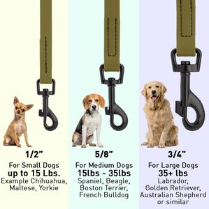 Nouvelle conception de laisse pour chien imperméable, longue et souple en PVC, pour la chasse, la marche, la course et l'escalade - Product Image 2
