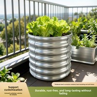 Jardinière en fer profonde pour balcon, cour, toit, culture de légumes, fruits, poivrons, tomates, melons