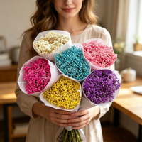 Fleur de Gypsophile Préservée Grande et Séchée Faite à la Main Marque KS pour Mariage, Saint-Valentin, Nouvel An, Thanksgiving