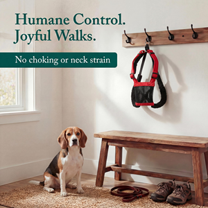 <b>No</b> <b>Pull</b> Dog <b>Harness</b>-Medium Size Red Mesh Durable Nylon Breathable Lightly Padded Soft Easy Heavy Duty Outdoor Use - Product Image 2