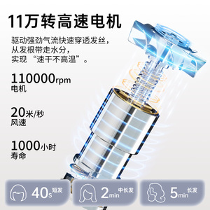 Binwang Hair Dryer 1800W DC Motor Ionic Fast Drying Home Travel Use - Product Image 3