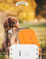 GPS intelligent 4g traqueur de collier pour animaux de compagnie étanche ip7 traqueur de collier de chien Portable GPS positionnement global traqueur pour animaux de compagnie en temps réel