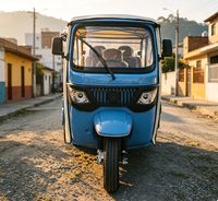 Tricycle électrique spacieux conforme CEE avec contrôleur 48 tubes et pneus à vide pour le transport de passagers dans les parcs et les sites touristiques