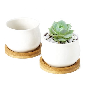Maceta <span class=keywords><strong>de</strong></span> <span class=keywords><strong>madera</strong></span> para bonsái, soporte para plantas suculentas, bandeja <span class=keywords><strong>de</strong></span> bambú, soporte para maceta - Product Image 4