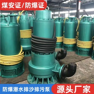 BQS Mine Explosion Proof Submersible Sand Pump BQ400-150/3-350/WS 660V 10KV Drainage Device - Product Image 5