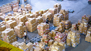 Envio por DHL, Transporte de Carga com a Tarifa Mais Barata, Transporte Ferroviário e Rodoviário da China, Guangzhou para o Canadá, Inspeção de Qualidade - Product Image 6