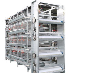 Nuevo Sistema de Cría de Pollos de Engorde Tipo H Totalmente Automático, Construcción de Acero Galvanizado por Inmersión en Caliente, 3/4 Niveles de Ancho - Product Image 1