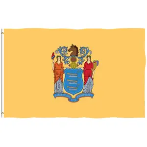 High Quality Custom New Jersey State Flag Indoor Outdoor Banner Flag with grommets for hanging