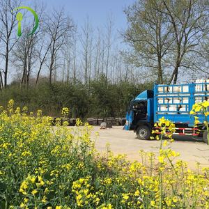 <span class=keywords><strong>Miel</strong></span> cruda orgánica natural 100%, gelatina real pura, venta <span class=keywords><strong>de</strong></span> fábrica, certificado Halal, embalado en botellas - Product Image 4