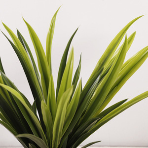 Hojas de Orquídea Artificiales QIHAO 57017, Alta Simulación, Decoración para el Hogar, Material de Película Verde - Product Image 3