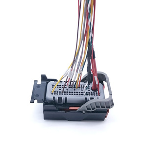 Conector Automotriz Delphi de 73 Pines, Arnés de Cables 15357142, Plástico Negro, 300-600V - Product Image 4