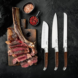 Ensemble de couteaux de cuisine en acier inoxydable de 10 pouces, couteau de chef, couteau à pain, couteau utilitaire, aiguiseur, manche en bois, écologique, passe au lave-vaisselle - Product Image 5