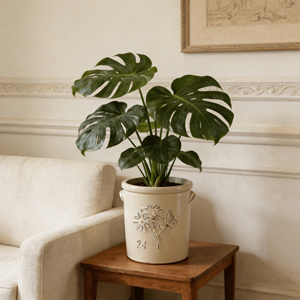 Maceta de Cerámica Esmaltada Blanca Mate con Textura en Relieve de Margaritas y Mariposas, para Interiores/Exteriores, con Orificio de Drenaje, Ecológica - Product Image 5