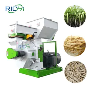 Machine <span class=keywords><strong>de</strong></span> fabrication <span class=keywords><strong>de</strong></span> granulés <span class=keywords><strong>de</strong></span> bagasse <span class=keywords><strong>de</strong></span> <span class=keywords><strong>canne</strong></span> à <span class=keywords><strong>sucre</strong></span>, fiable et stable, 5-10 TPH - Product Image 1