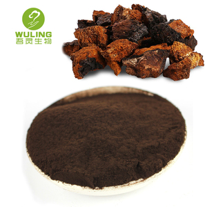 Caliente venta salvaje hongo Chaga extracto en polvo - Product Image 4