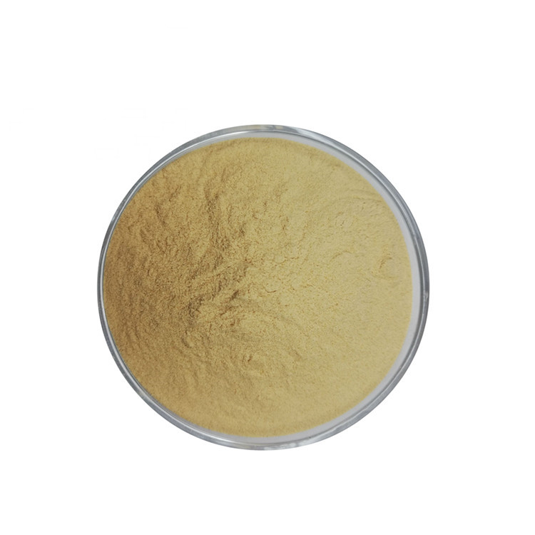Chinese Herbal Medicine Notoginseng Extract Powder Panax Notoginseng P.E for Health Care