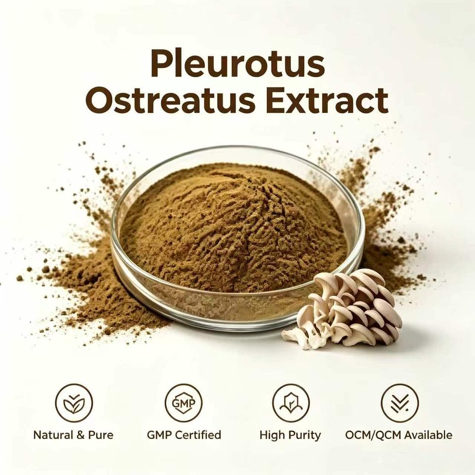 Spray Extraction Process Food Grade Water Soluble 10:1 Pleurotus Ostreatus Extract Spray Dried ...