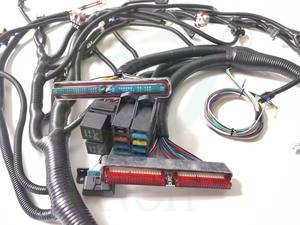 '99 - '06 VORTEC W/ T56 автономный жгут проводов (DBC) с LS1 INT - Product Image 2