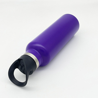 Gourde anti-fuite violette 22oz en acier inoxydable de qualité alimentaire avec paille et bec verseur