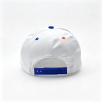 Casquette de baseball personnalisée de haute qualité, bicolore, structurée, avec fermeture snapback et logo brodé en 3D pour les sports de plein air