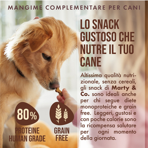 Daily Award Salmon Snack Marque Texture croustillante garantie Nourriture pour chien Snack pour améliorer l'hygiène buccale - Product Image 5