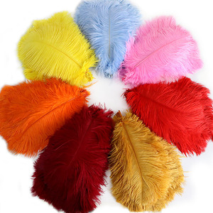 Piume di struzzo colorate grandi e conservate fatte a mano da 15-75 cm per matrimoni, lauree, Natale, Ringraziamento, Festa della Mamma, Capodanno - Product Image 3