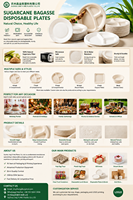 Assiettes de fête biodégradables et compostables en bagasse de canne à sucre, jetables, de 6 à 10 pouces, pour l'emballage alimentaire de fête