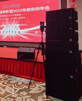 Subwoofer y Altavoz profesional, sistema de Audio, música de sonido dual, altavoces de matriz de línea pasiva de 10 pulgadas