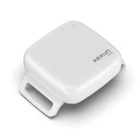 Système de suivi gratuit Plate-forme d'application contre la perte Tracker GPS en temps réel Dispositif de suivi GPS 4G Localisateur de réseau pour chien chat animal de compagnie