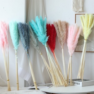 Fleurs séchées de pampa (blanchies) pour décoration de mariage, fête des mères, Saint-Valentin, Noël, Pâques - Multicolore, 60 cm de <span class=keywords><strong>longueur</strong></span> - Product Image 3