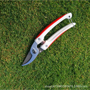 Cisailles de taille pour glycines de montagne, lame en acier inoxydable de 130 mm, diamètre de coupe de 20-30 mm, pour arbres fruitiers, jardinage et usage horticole - Product Image 3