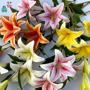 Flores Artificiales de Lirio Meibaozhong, de Seda, Realistas, Decoración para el Hogar, Arreglos para Bodas, Flor Grande de Tres Cabezas - Product Image 2
