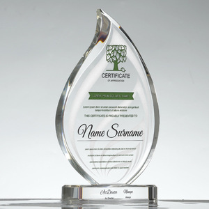 Trophée en cristal personnalisé gravé au laser, récompense en verre pour la reconnaissance des employés, cadeaux de retraite, objets commémoratifs - Product Image 1