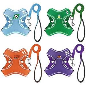 Fabricant OEM <span class=keywords><strong>2024</strong></span> Nouveau design Harnais pour chien chat de <span class=keywords><strong>football</strong></span> Harnais confortable réglable en maille réversible pour chiens de compagnie Ensemble de laisse - Product Image 5