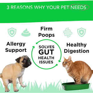 Probiotiques Miracle-Advanced pour chiens Prébiotiques spécifiques aux espèces Soulager la diarrhée Tabouret lâche Infections à levures Soutien immunitaire - Product Image 2