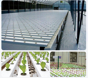 Bac de plantation hydroponique NFT, gouttière NFT en <span class=keywords><strong>PVC</strong></span> résistant aux UV pour l'agriculture verticale commerciale - Product Image 1
