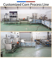 Ligne de traitement du maïs industrielle 5000 kg/h entièrement automatique, ligne de production de transformation du maïs, conception personnalisée pour les fermes et les usines