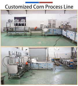 Línea de Producción de Maíz Dulce Personalizada 2000-5000kg/h, Máquina Desgranadora, Lavadora, Calentadora y Secadora de Maíz Dulce para Propietarios de Granjas - Product Image 3