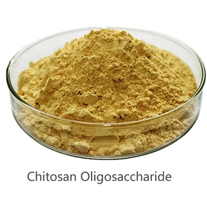 Campione gratuito stabilizzanti e addensanti per chitosano per uso alimentare 1kg/25kg - Product Image 2