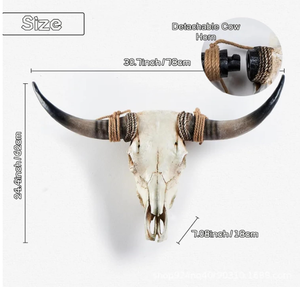 วัวขนาดใหญ่สำหรับแขวนผนังกะโหลกศีรษะ SKE27ตกแต่งเรซิ่นรูปสัตว์เลียนแบบสัตว์ตัวอย่างขนาด78*18*62ซม. - Product Image 2
