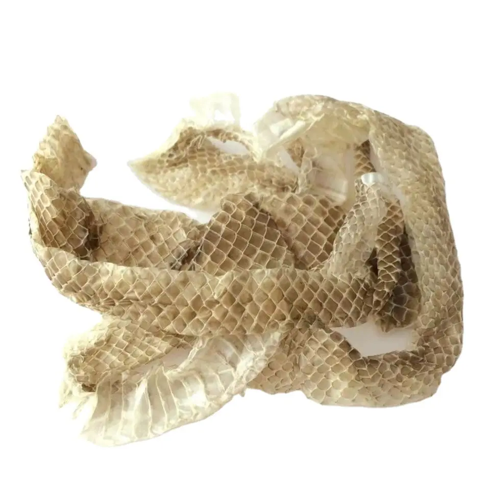 High quality raw natural dried Elphe taeniura snake skin Snake slough for sale