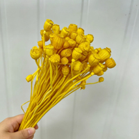 Coquelicot séché couleur personnalisée en gros, matériau pour arrangements floraux DIY, décoration esthétique intérieure, fournitures florales pour table de mariage