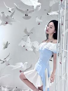 Blanc carré Pigeon Photo accessoires espace Art exposition modèle paix pour colombe affichage suspendus décoration pour ornement de jardin - Product Image 5