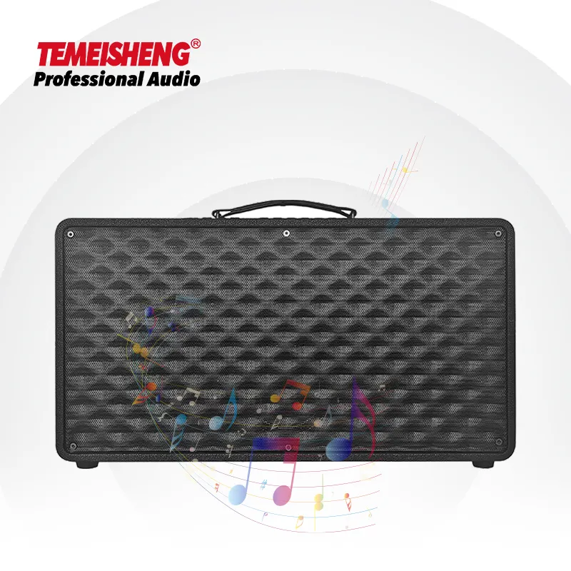 Temeisheng Dual 8 ''altoparlante professionale rivestito in pelle cabinet in legno per Live streaming, karaoke